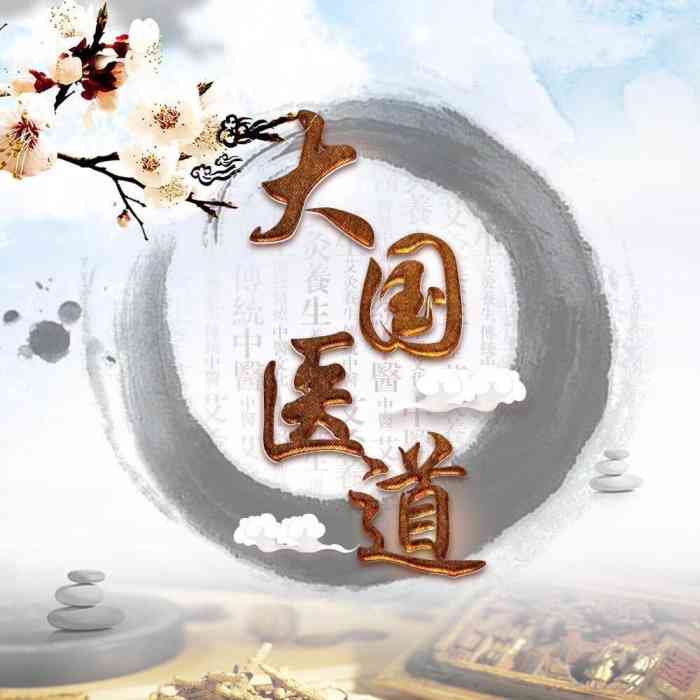 大国医道推拿工作室(张虹路店)-"做好后舒服多了!