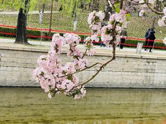 -海棠花溪(元大都城垣遗址公园)