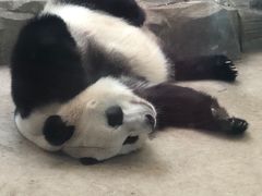 -哈尔滨北方森林动物园