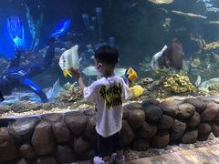 -华夏文旅海洋公园