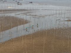-小皓村