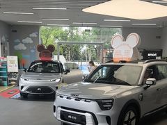 -上海浦东smart汽车全功能店(金桥店)