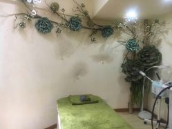 -骄阳兰多产后修复(徐东旗舰店)