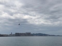 -悦海公园