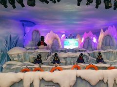 -帝企鹅自助餐厅•儿童岛•真企鹅(长隆企鹅酒店)