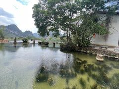 -靖西鹅泉风景区