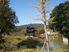 -龙寺生态园