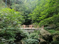 -藏龙百瀑风景区