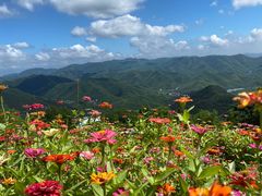 -莫干山风景区