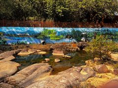 -广州白江湖森林公园