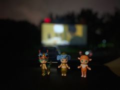 -枫花园汽车电影院(朝阳公园店)
