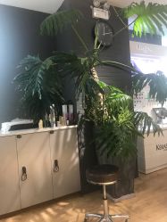 -意廊 Hair Salon