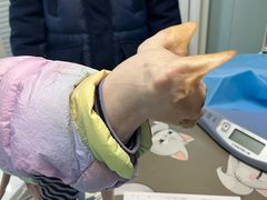 -纳吉亚猫专科动物诊疗中心(蒋宅口分院)