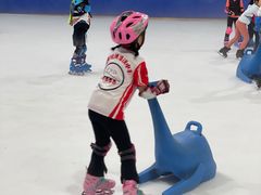 -世界之窗阿尔卑斯冰雪世界