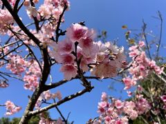 -光明小镇欢乐田园