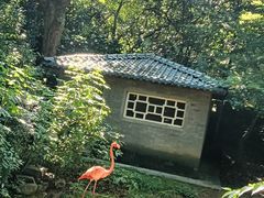 -杭州动物园