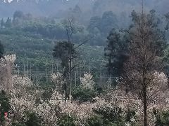 -樱桃山旅游景区