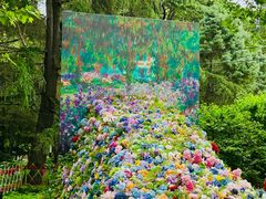 -上海共青森林公园