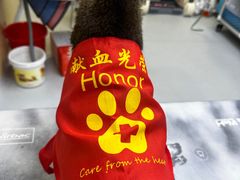 -谐和益家动物医院·免疫绝育·血液透析·宠保定点医院(高新伊藤分院)