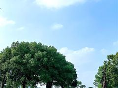 -上海月湖雕塑公园