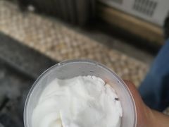 -洪馨椰子