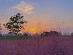 -汉长安城未央宫国家考古遗址公园