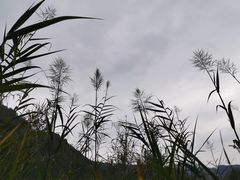 -丰盛镇响水水库