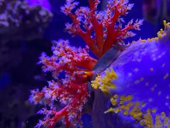 -太平洋海底世界