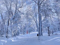 -雪谷