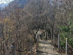 -陕西省红河谷森林公园