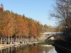 -白水寺森林公园