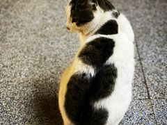 -新疆大盘鸡·十八年老店