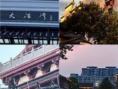 -荷兰花海