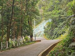 -广州市帽峰山景区