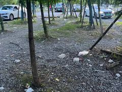 -南汇新城海滩