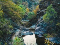 -云岫谷游猎自然风景区