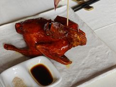 -侨美·唐荔园·40年地道粤菜