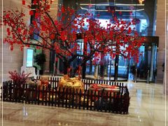 -绿城千岛湖喜来登度假酒店