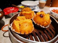 -寨子里的·钵钵菜·湘西山里菜(魅力湘西店)