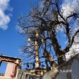 香格里拉小众朝拜寺庙｜本地藏民日常打卡，香火很旺