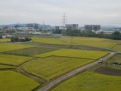 -福冈国际邮轮码头