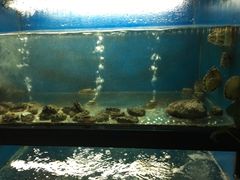 -王家渡火锅店(棕榈泉店)