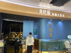 -黄晓猫剁椒大鱼头(海岸城店)