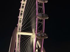 -金鸡湖景区