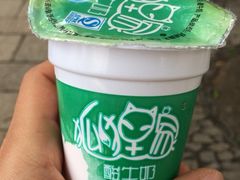 狐狸家手工酸奶酪(平江路店)-狐狸家·酸奶酪专门店(平江路店)