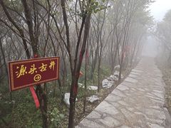 -大围山国家森林公园
