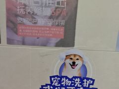 -北京观赏动物医院·24小时大型综合·猫专科·异宠专科
