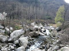 -终南山国家森林公园