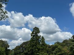 -奈良公园