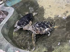 -嘉兴海底世界